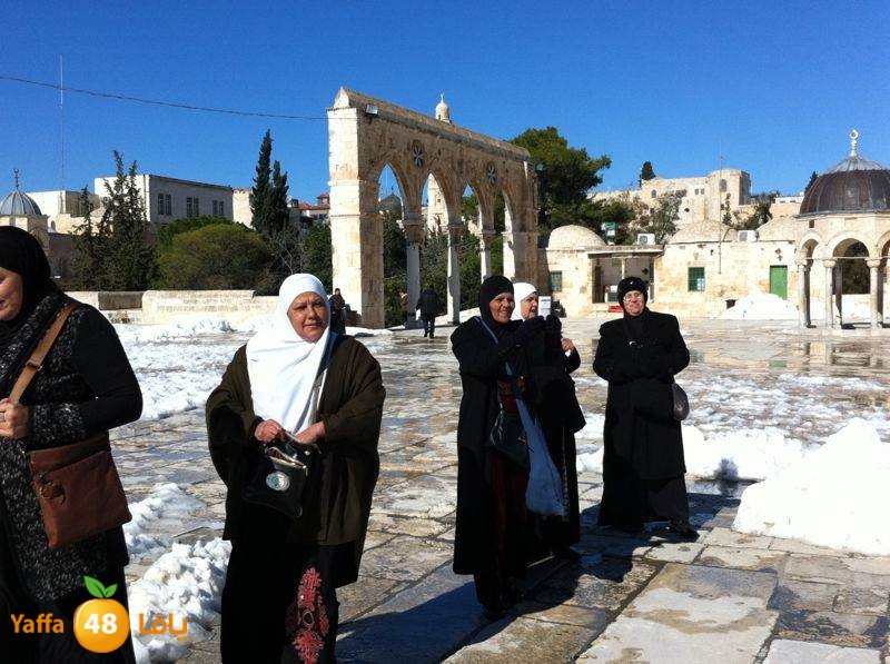 yaffa byareq (7).jpg